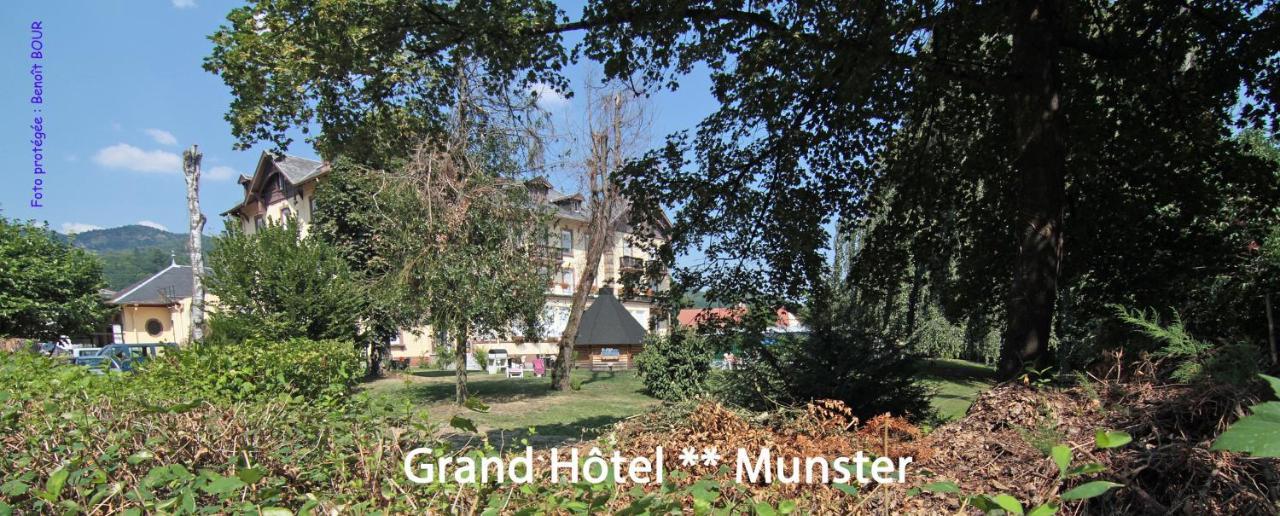 Brit Hotel Grand Hotel Munster Munster  Exterior photo